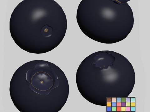 Blueberries 3D 모델