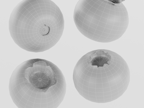 Blueberries 3D 모델