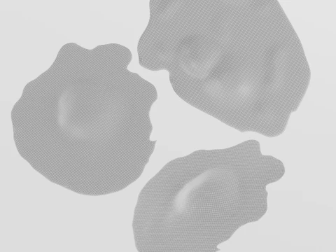 Eggs 3D Model