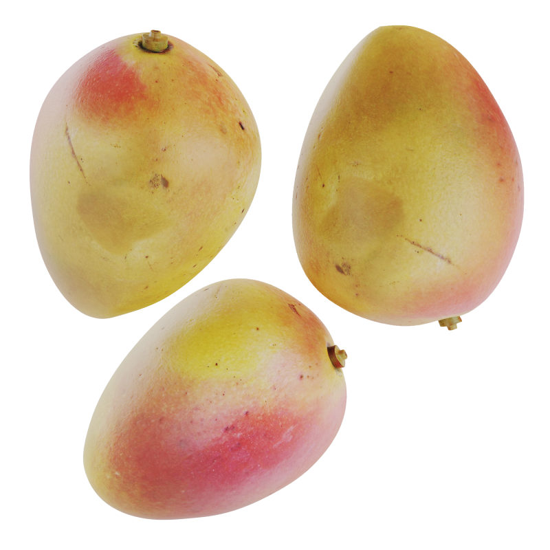 Mango Model 3D .c4d .max .obj .3ds .fbx .stl .blend 