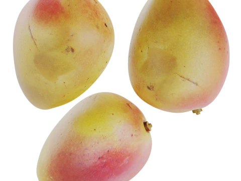 Mango Modello 3D