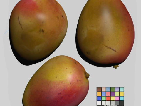 Mango 3D Model