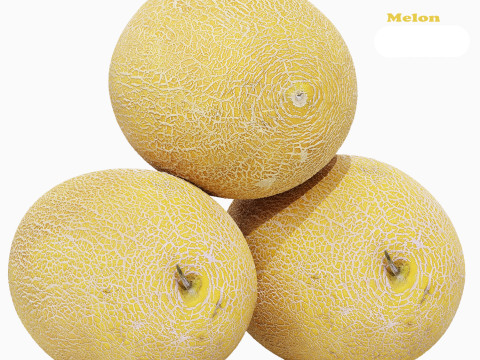 Melon 3D Model