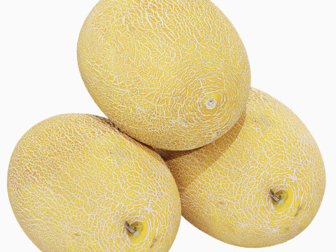 Melon Modello 3D