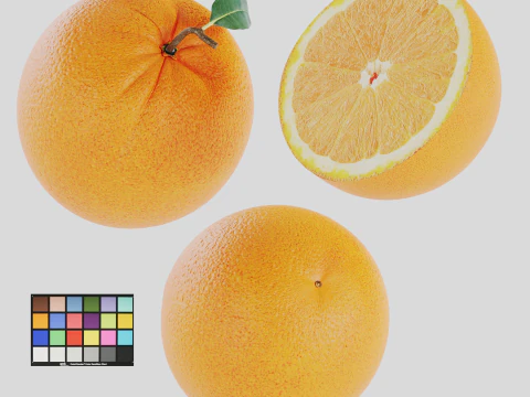 Orange 3D Model