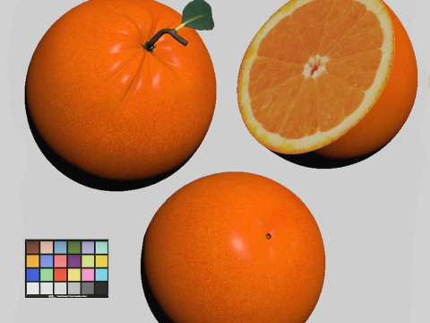 Orange 3D Model