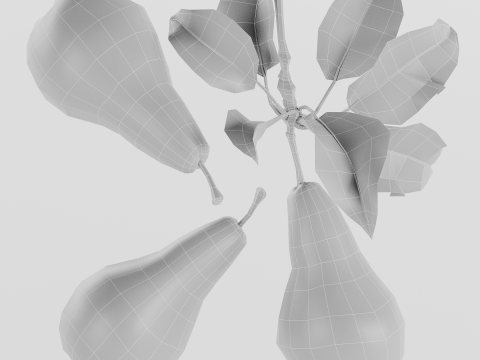 Pear 3D Model