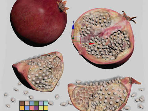 Pomegranate 3Dモデル