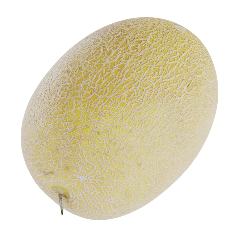 Melon 3D Modell .c4d .max .obj .3ds .fbx .stl .blend 