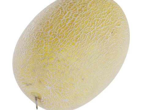 Melon 3D Модель