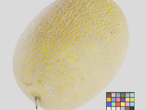 Melon 3D Modell