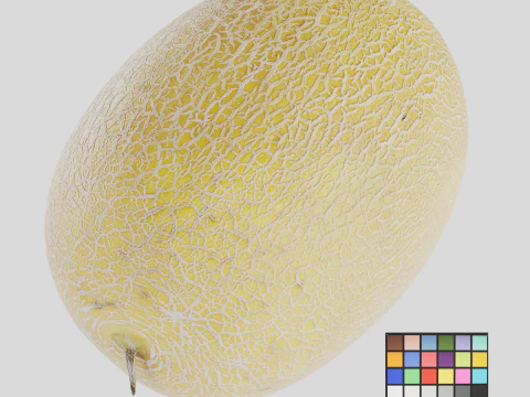 Melon 3D Model