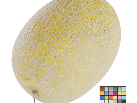 Melon 3D Modell