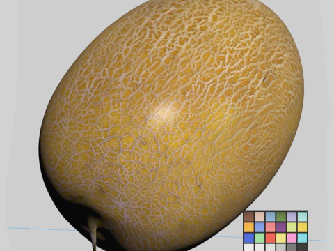 Melon 3D Model