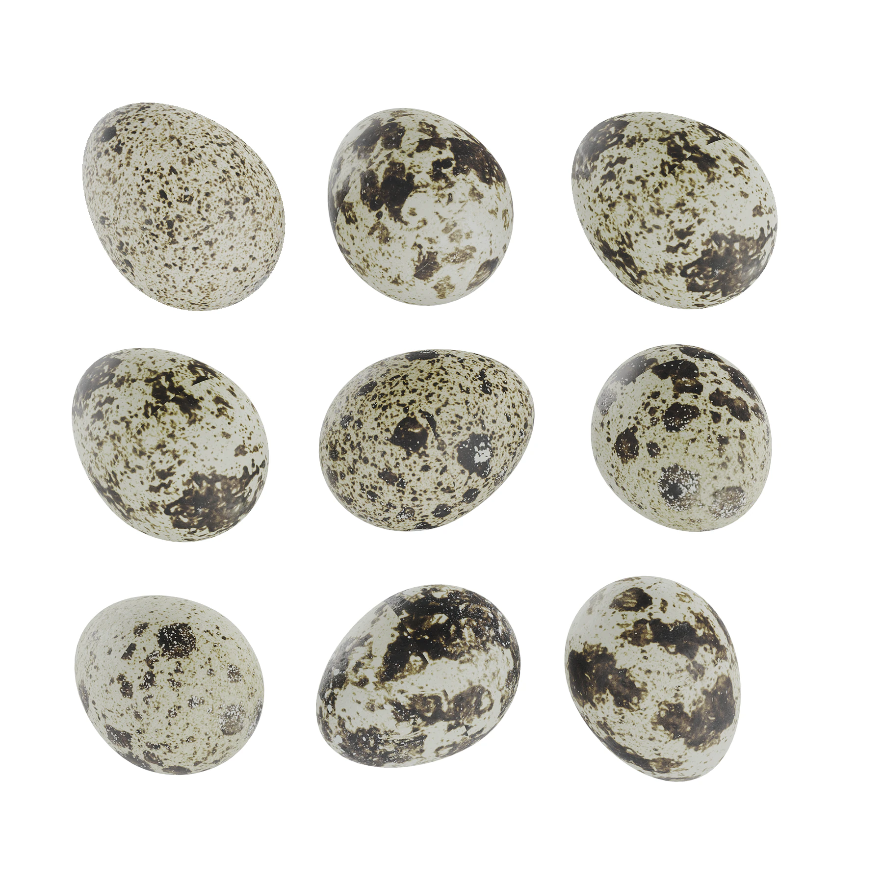 Qauil eggs 3D Model .c4d .max .obj .3ds .fbx .stl .blend 