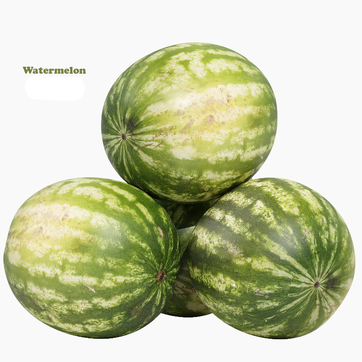 Watermelon 3D Model .c4d .max .obj .3ds .fbx .stl .blend 