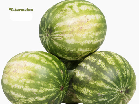 Watermelon 3D Модель