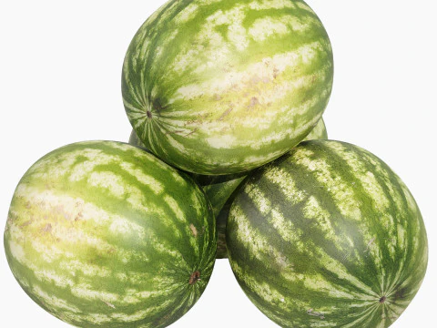 Watermelon 3D Model