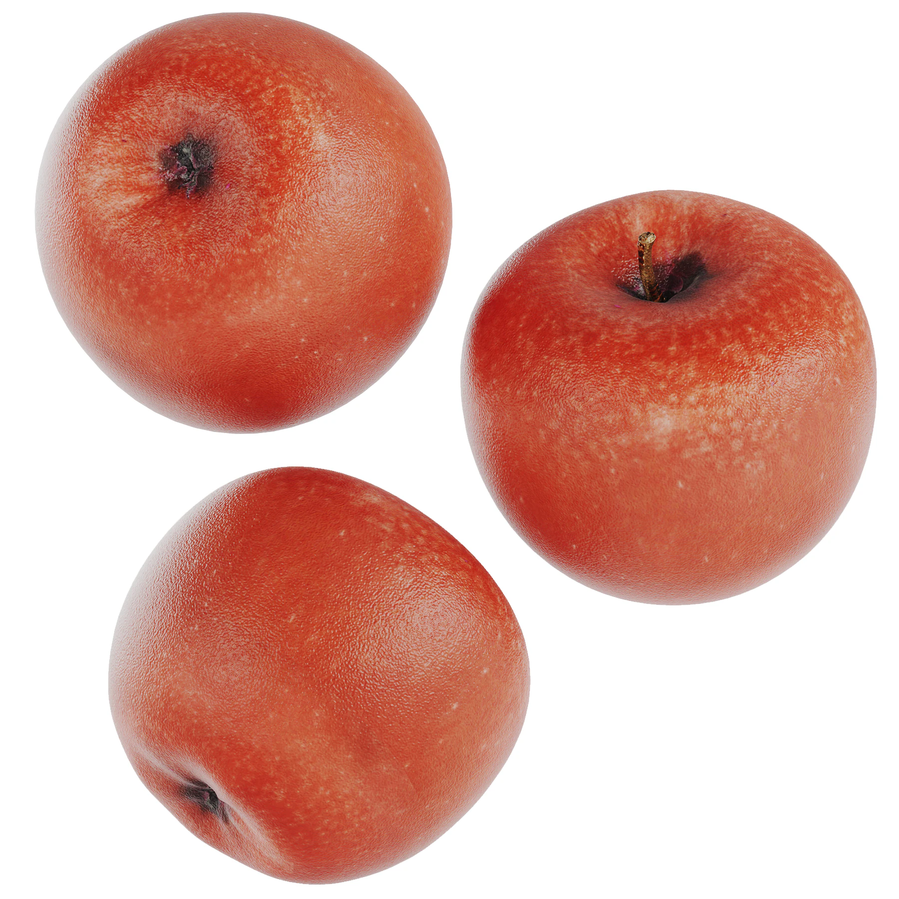 Red Apple 3D Model .c4d .max .obj .3ds .fbx .stl .blend 