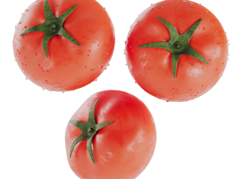 Tomato 3D Модель