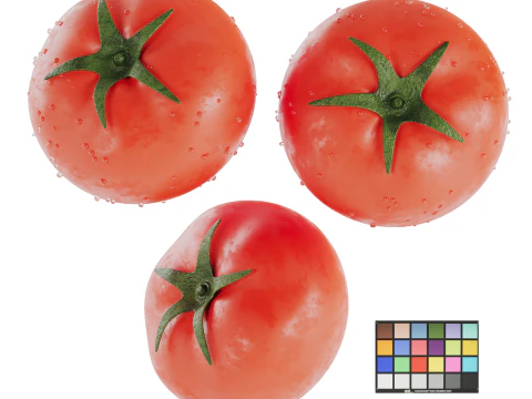 Tomato 3D Model