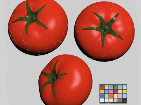 Tomato 3D Model