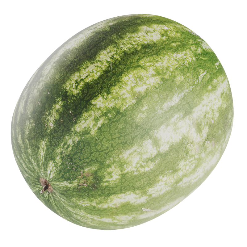 Watermelon Model 3D .c4d .max .obj .3ds .fbx .stl .blend 