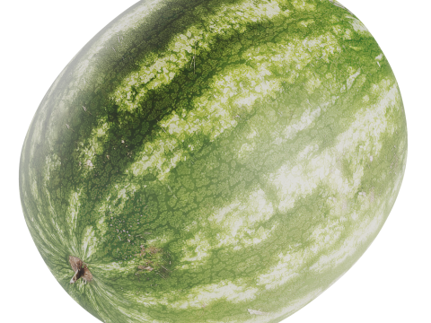 Watermelon 3D 모델
