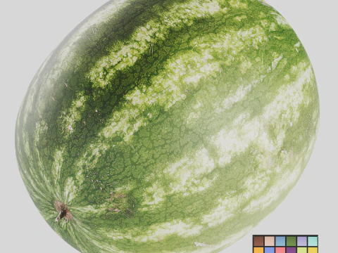 Watermelon 3D Model