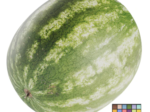 Watermelon 3D Model