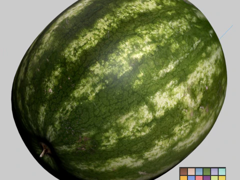 Watermelon 3D Model