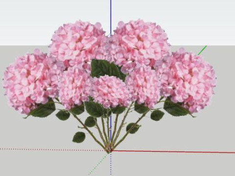 Hydrangea Model 3D