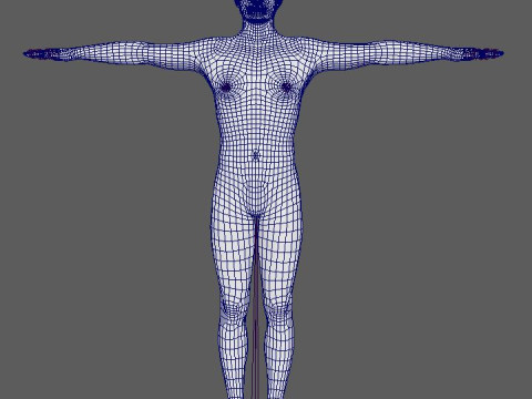 Frank Caprio Character Model 3D