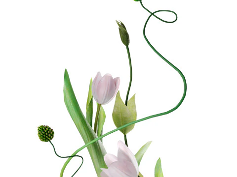 Bouquet 001 3D Model