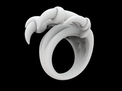Dragon Claw Ring 3D Print Model 3D Druckmodell