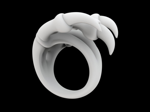 Dragon Claw Ring 3D Print Model 3D 打印模型