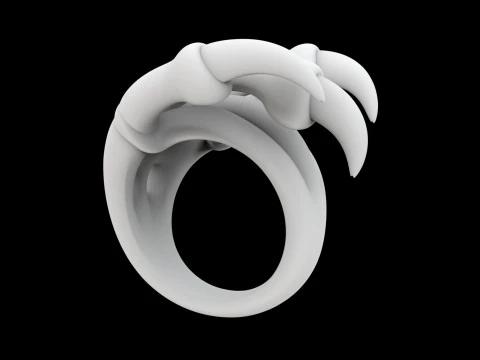 Dragon Claw Ring 3D Print Model 3D Print Model