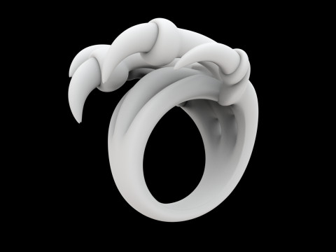 Dragon Claw Ring 3D Print Model 3D 打印模型