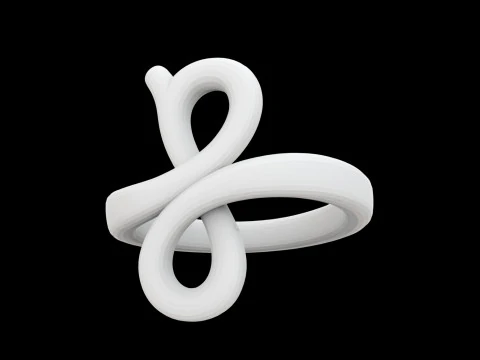 인피니티 루프 링 3D 프린트 모델