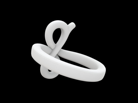 Infinity Loop Ring 3D Print Model