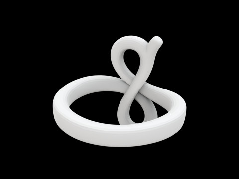 Infinity Loop Ring 3D Print Model