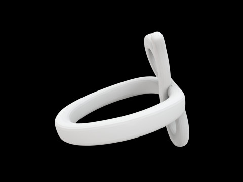 Infinity Loop Ring 3D Print Model