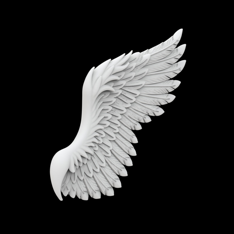 Angelic Demon Wings with Dark Feathers 3D Printable Model 3Dプリントモデル .c4d .max .obj .3ds .fbx .stl .blend 