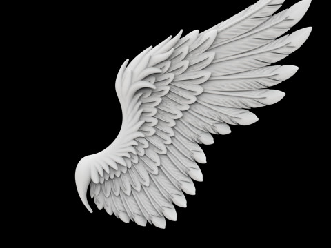 Angelic Demon Wings with Dark Feathers 3D Printable Model 3Dプリントモデル