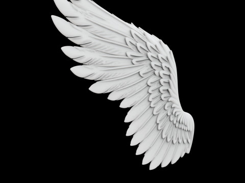 Angelic Demon Wings with Dark Feathers 3D Printable Model 3Dプリントモデル