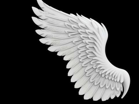 Angelic Demon Wings with Dark Feathers 3D Printable Model 3Dプリントモデル
