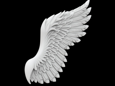 Angelic Demon Wings with Dark Feathers 3D Printable Model 3Dプリントモデル