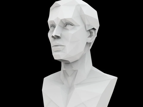 Cubist Bust 3D Printable Model 3D Print Model