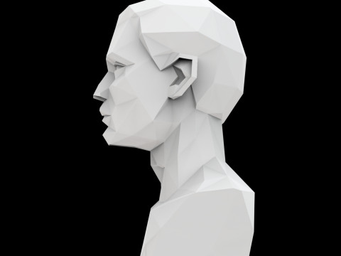 Cubist Bust 3D Printable Model Modello di stampa 3D