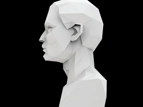 Cubist Bust 3D Printable Model 3D Print Model